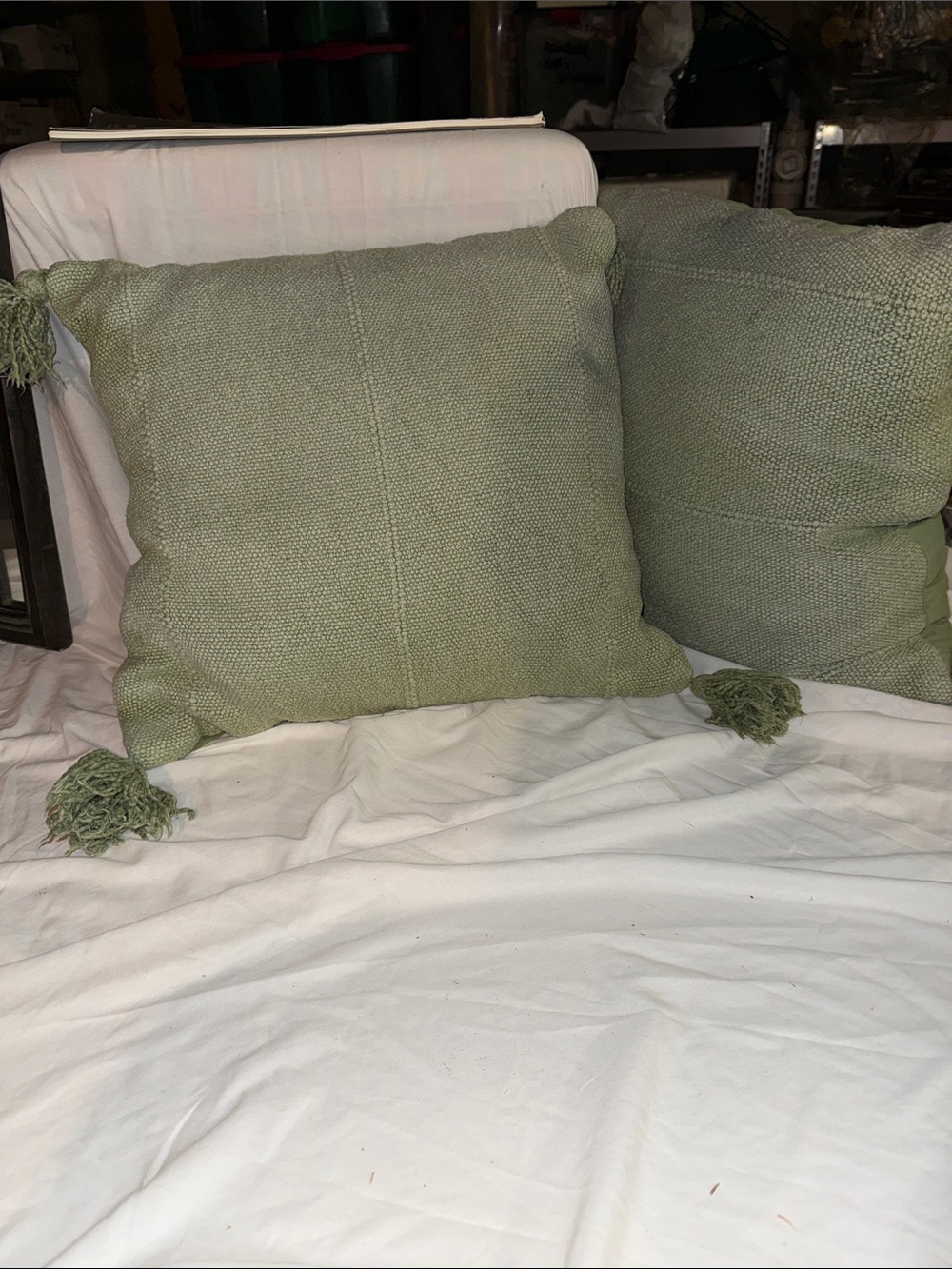 Set of 2 Green Throw Pillows
